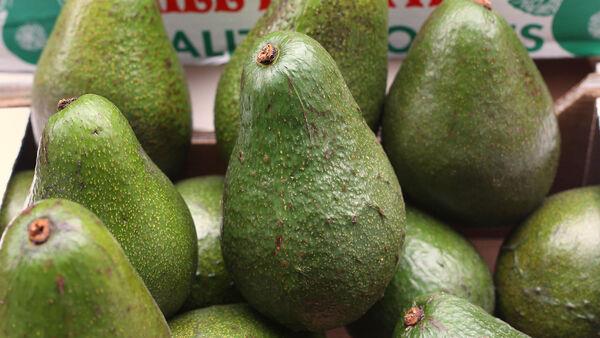 Guac-jackers steal 40 tonnes of avocados